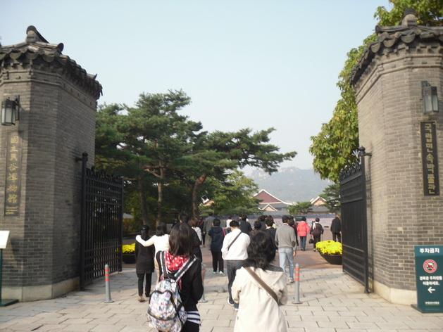 SDC13962_resize.JPG